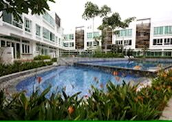 Cabana (D28), Terrace #445826721